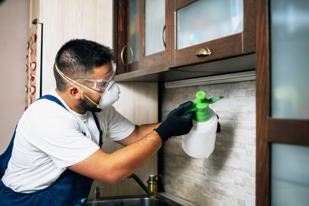 Reliable West Haven Sylvan, OR Pest Control Solutions