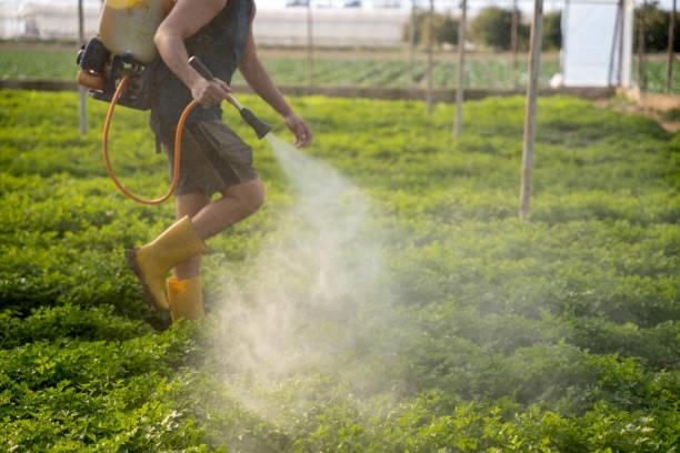 Best Emergency Pest Control  in West Haven Sylvan, OR