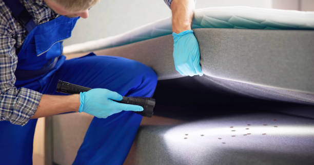 Best Flea Control Services  in West Haven Sylvan, OR