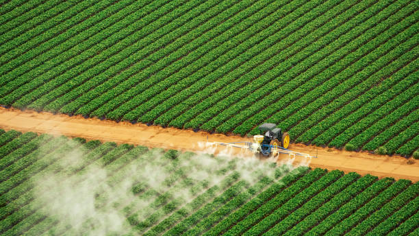 Best Pest Prevention Services  in West Haven Sylvan, OR