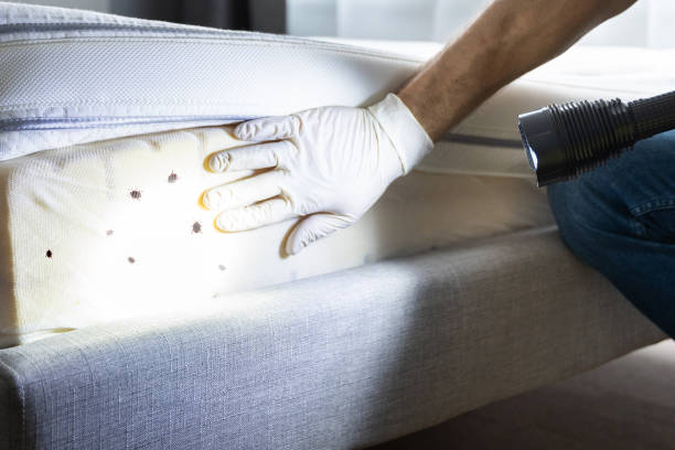 Best Best Pest Control Companies  in West Haven Sylvan, OR