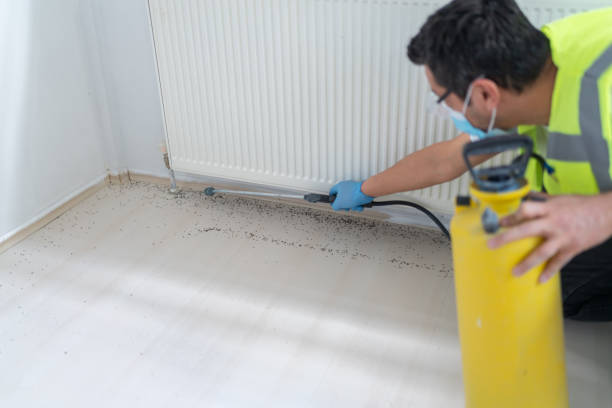 Best Flea Control Services  in West Haven Sylvan, OR