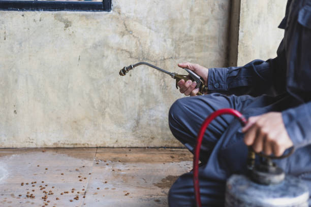 Best Pest Removal Services  in West Haven Sylvan, OR